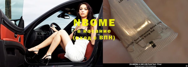 ГАЛЛЮЦИНОГЕННЫЕ ГРИБЫ Белоозёрский