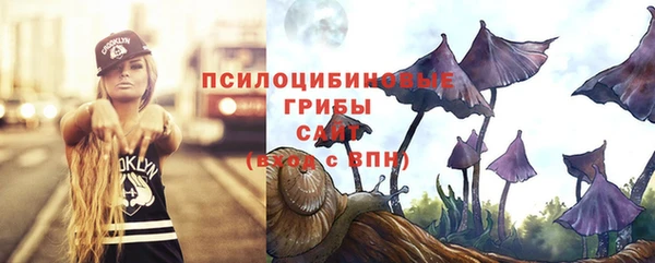 MDMA Белокуриха