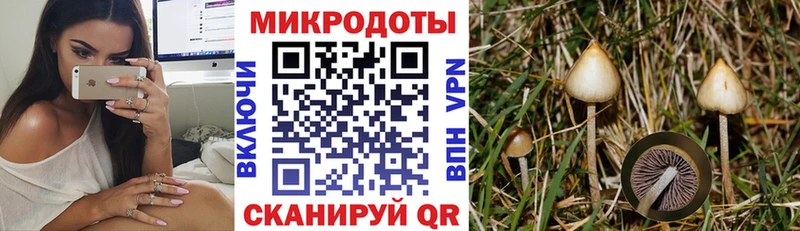 Галлюциногенные грибы Cubensis купить наркотики цена KRAKEN ссылки Дмитриев